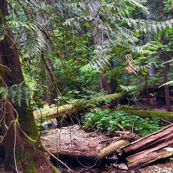 Meet your Posher, Jennifer - Picture 15 of 16